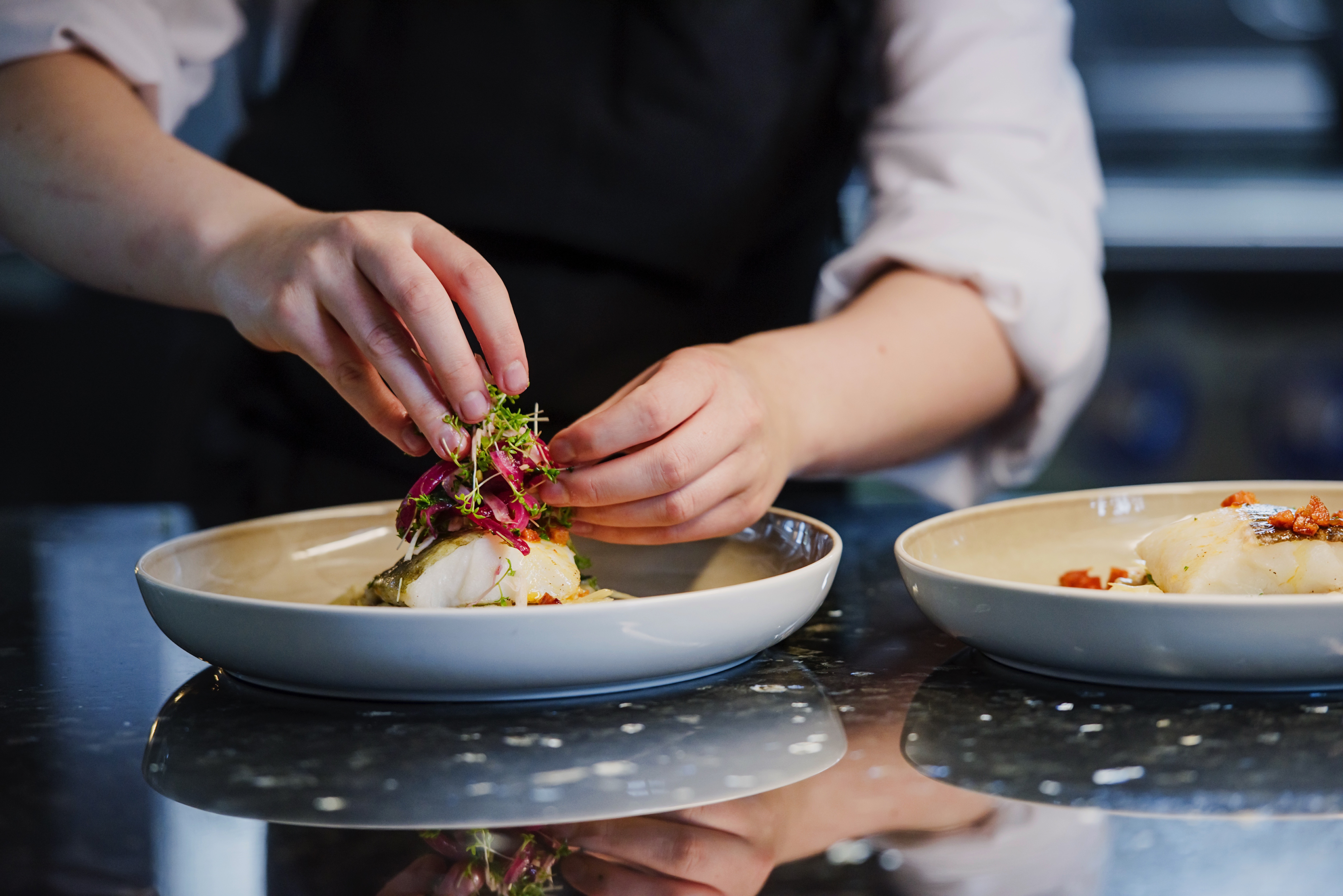 MS Polarlys - Kysten